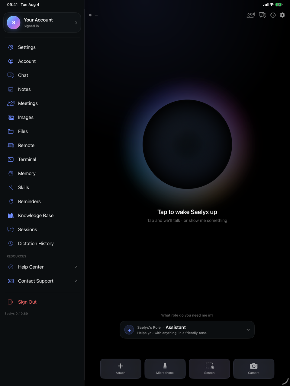 Saelyx on iPad: its own sidebar on the left listing the sections — Settings, Account, Chat, Notes, Meetings, Memory, Skills — with the conversation pane filling the rest of the screen.