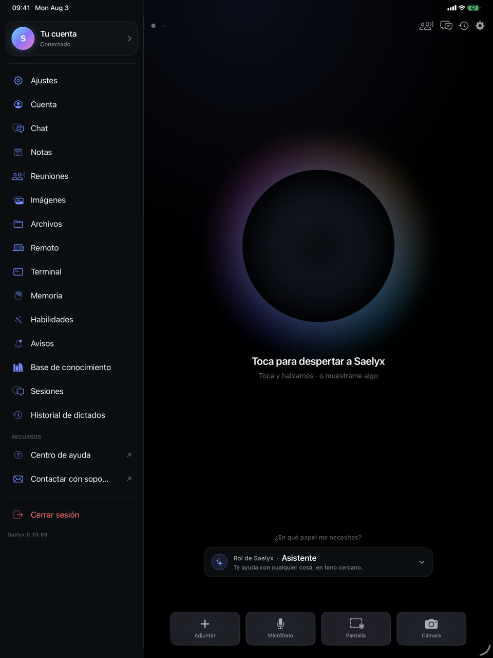 Saelyx en iPad: barra lateral propia a la izquierda con la lista de secciones —Ajustes, Cuenta, Chat, Notas, Reuniones, Memoria, Habilidades—, y el panel de conversación ocupando el resto de la pantalla.