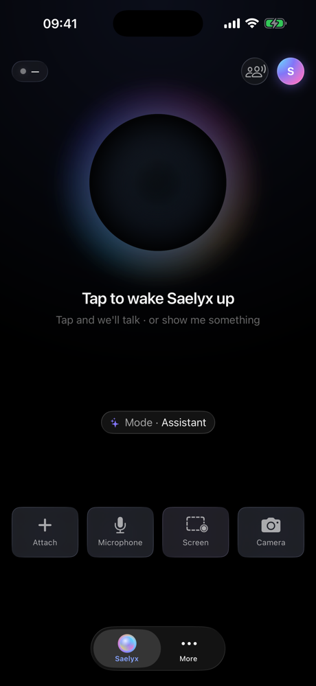 Saelyx on iPhone, opening screen: “Tap to wake Saelyx up” and, along the bottom, the attach, microphone, screen and camera buttons.