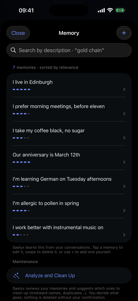 Memory screen on iPhone: seven memories written as ordinary sentences, each with an arrow to open and edit it, and a search box on top.